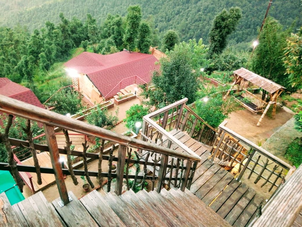 Treehouse Resort主图