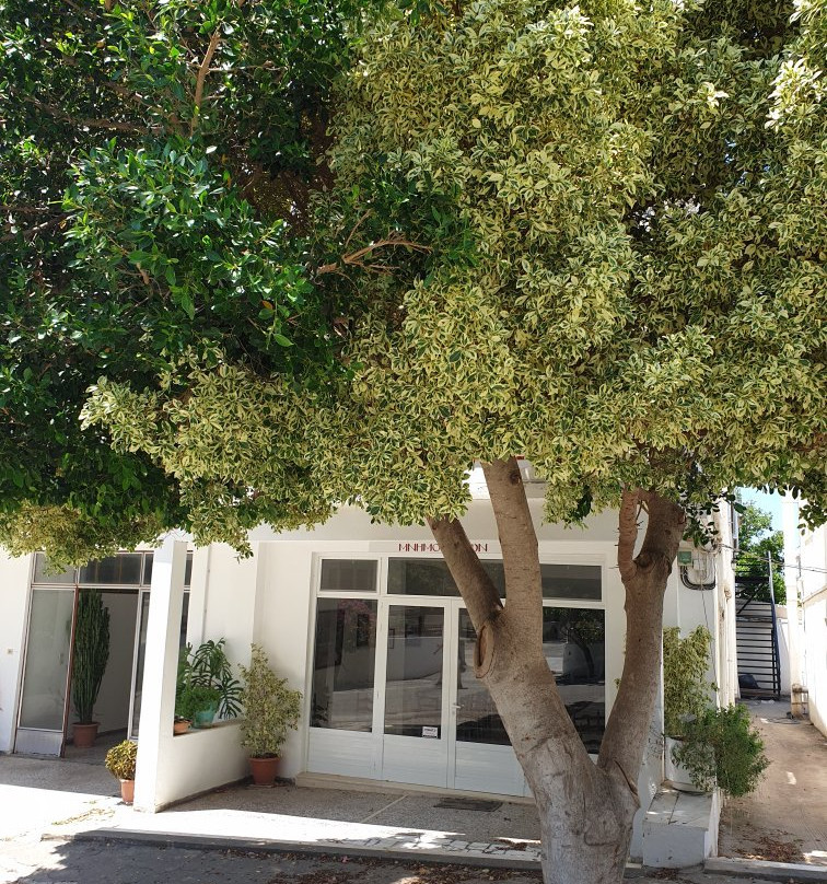 Monastery Panagia Kaliviani-Mires必去景点