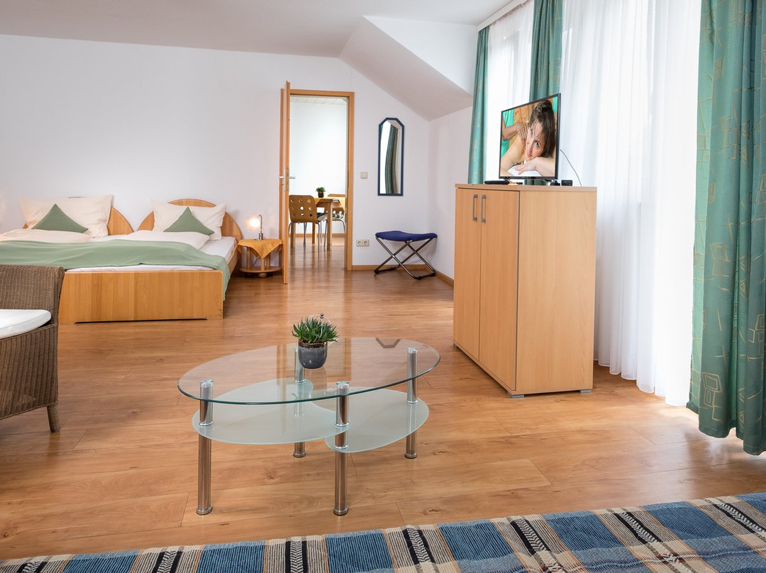 Hotel Pension Gabriela主图