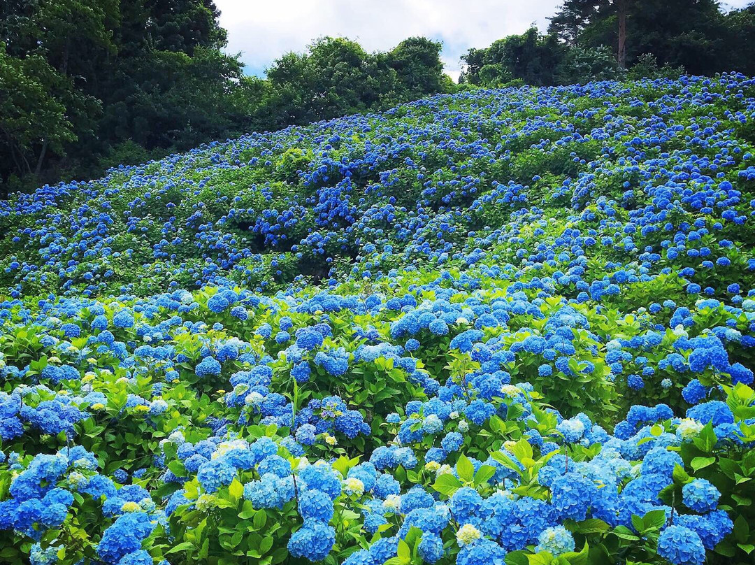 Akasaka Public Park-气仙沼市必去景点