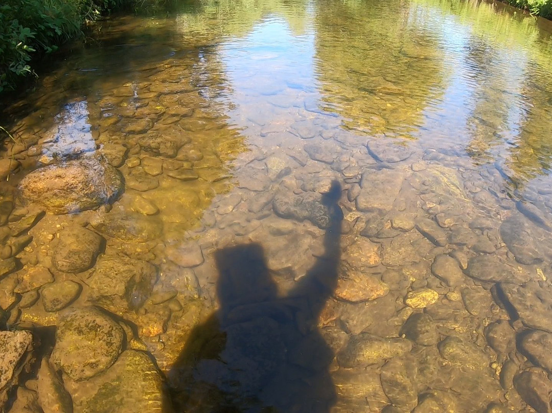 Gasthaus Bernreutehof主图