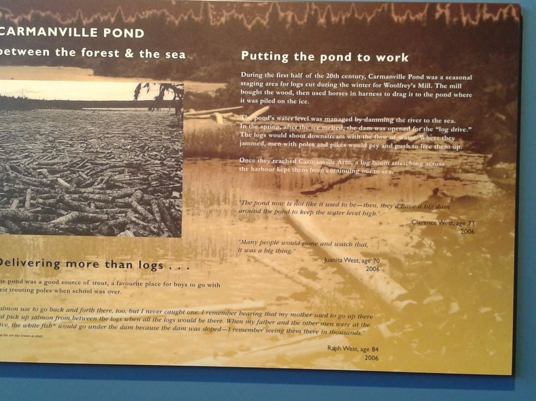 Carmanville Wetlands Interpretation Centre and Nature Trail-Carmanville必去景点