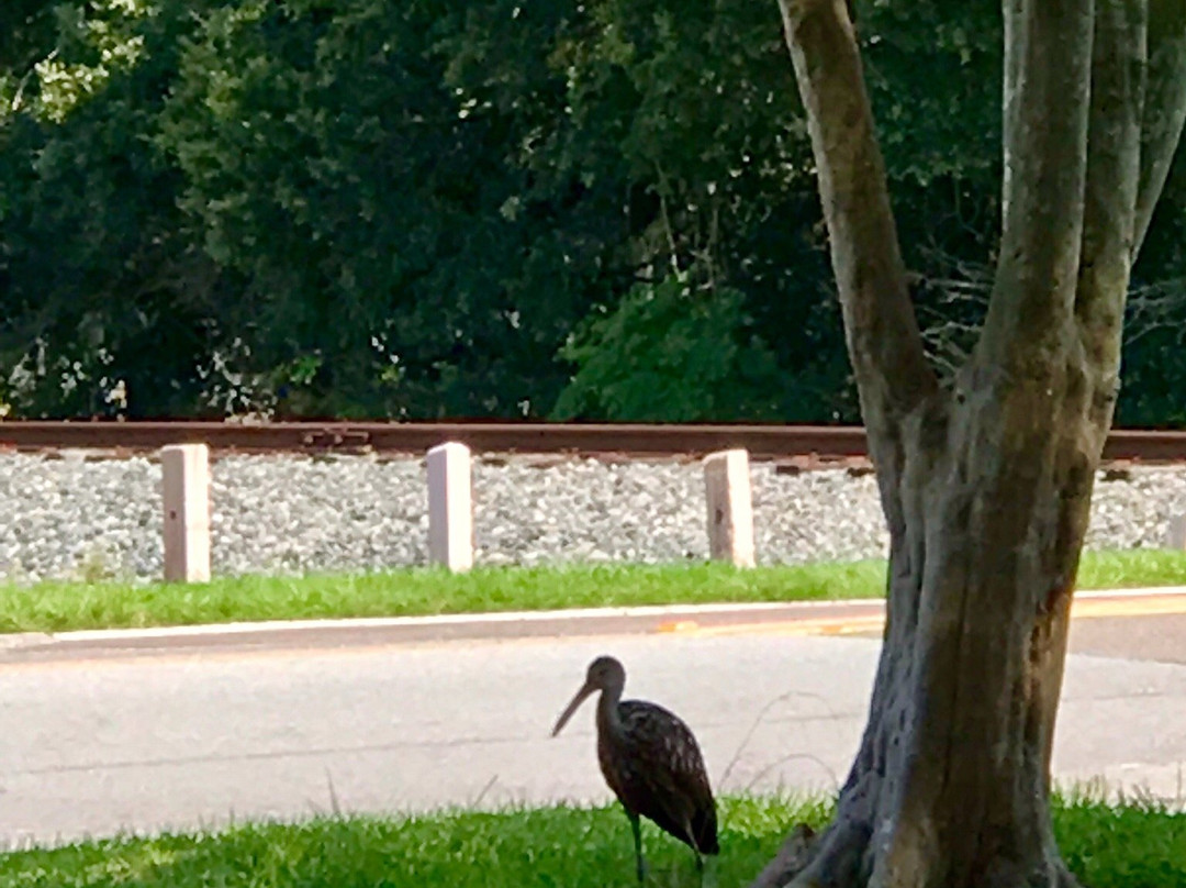 Ream Wilson Clearwater Trail-克利尔沃特必去景点