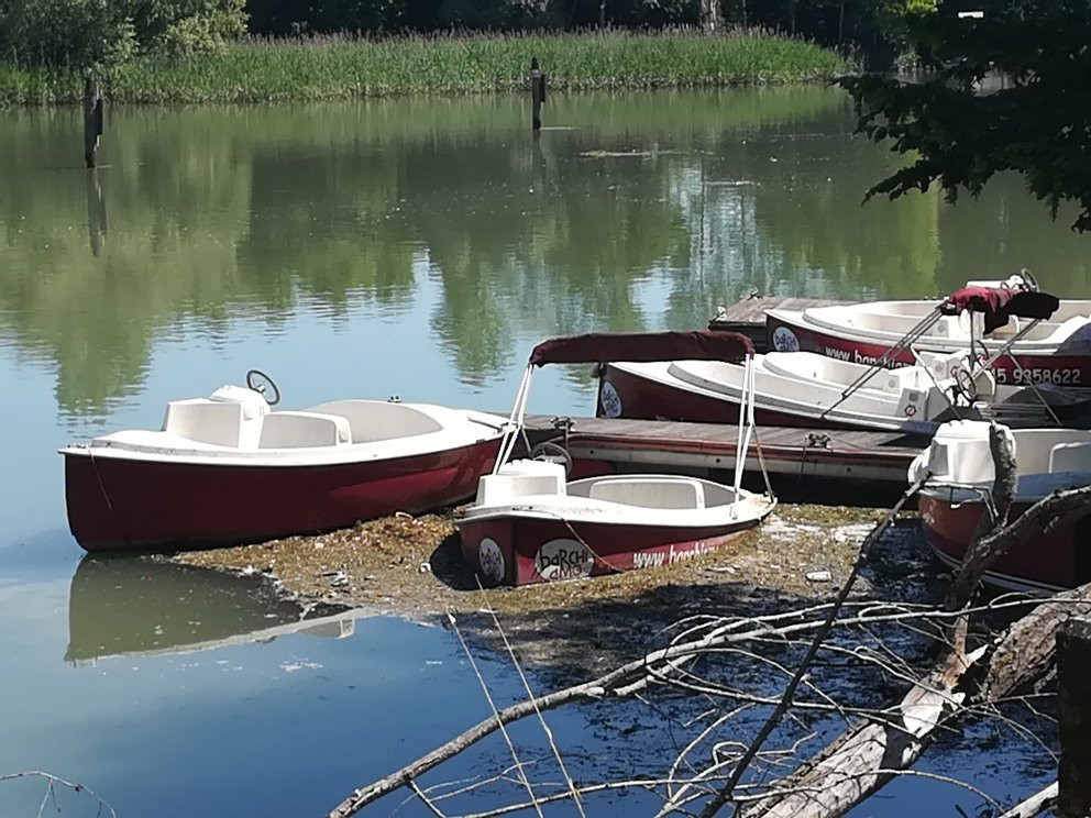 Barchiamo - Daily Boat Rentals景点图片