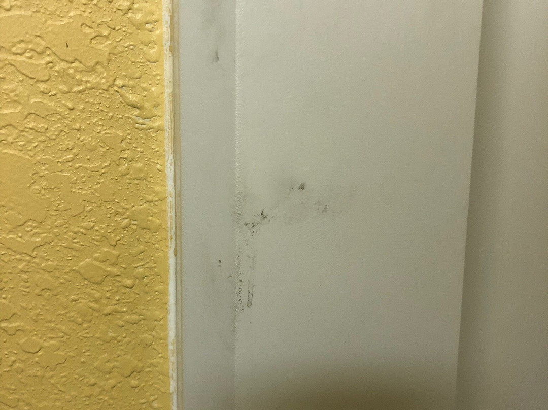 阿普尔顿速8酒店主图