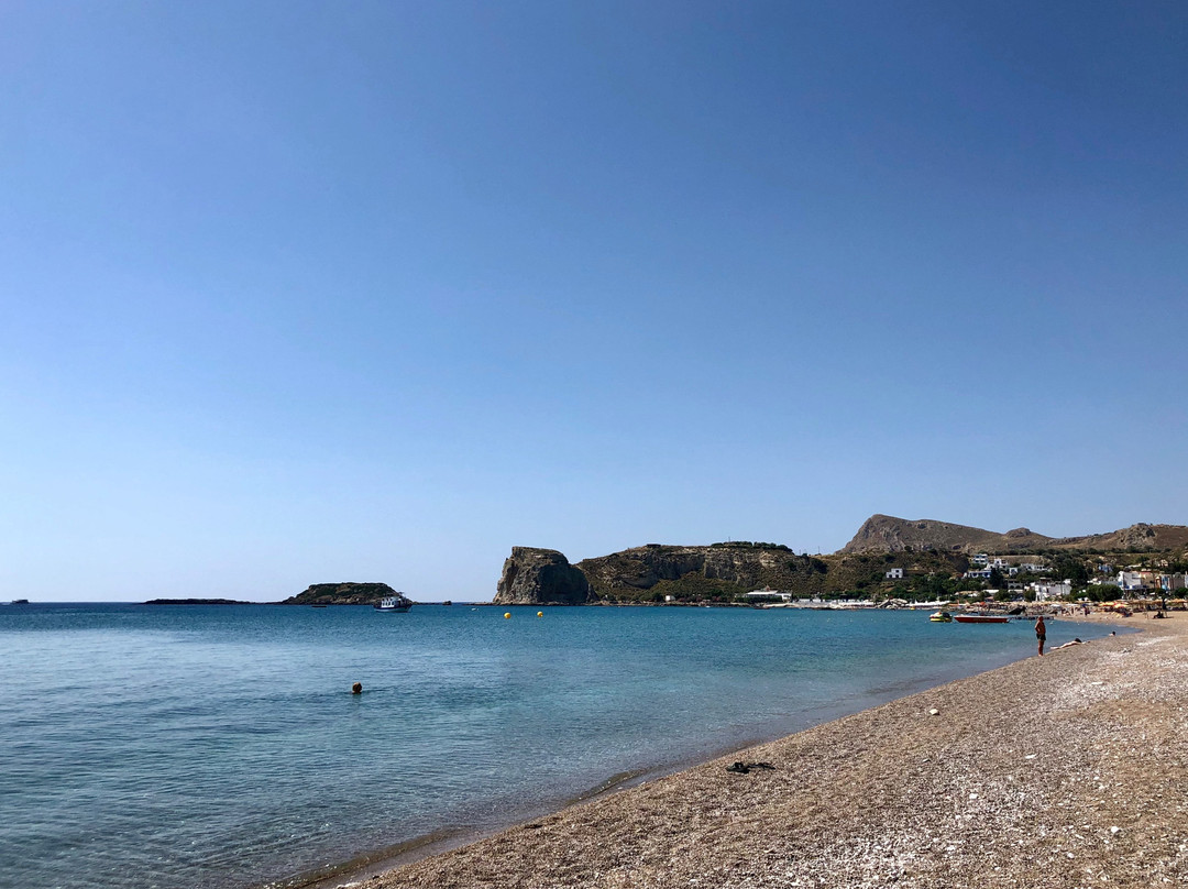 Alpha Stegna Sun主图