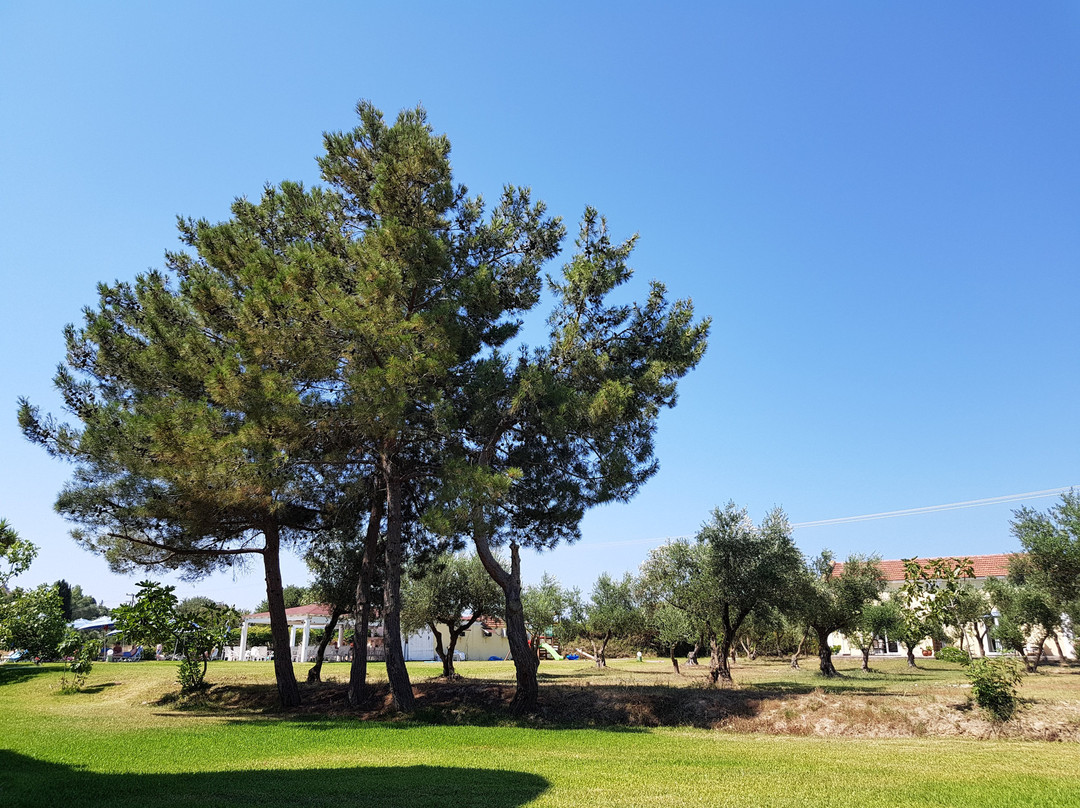 Hotel Palatino主图