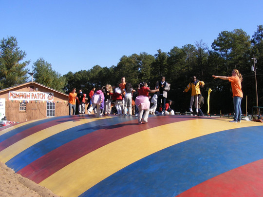 Yule Forest-Stockbridge必去景点