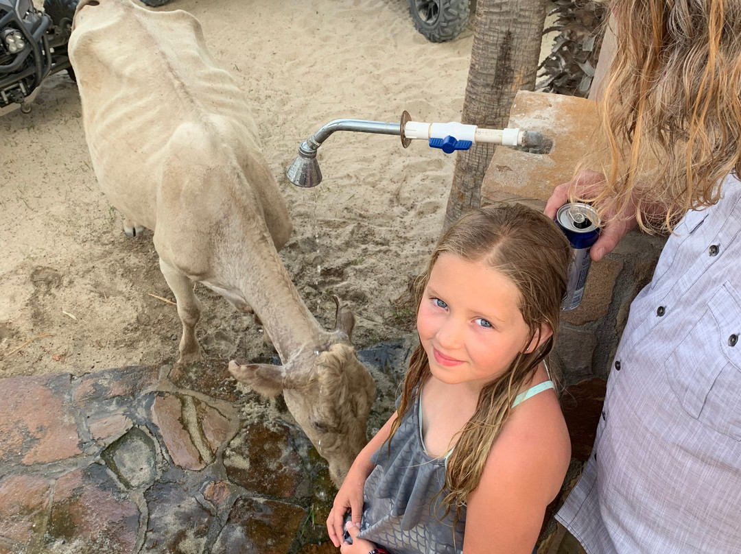 Rancho Buena Vista主图