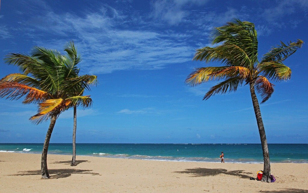 Playa Ocean Park景点图片