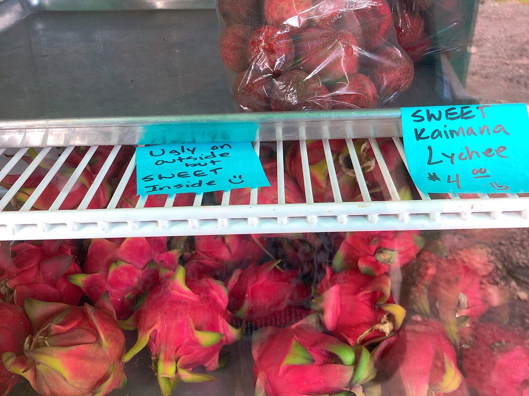 Frankie's Nursery-威玛纳诺必去景点