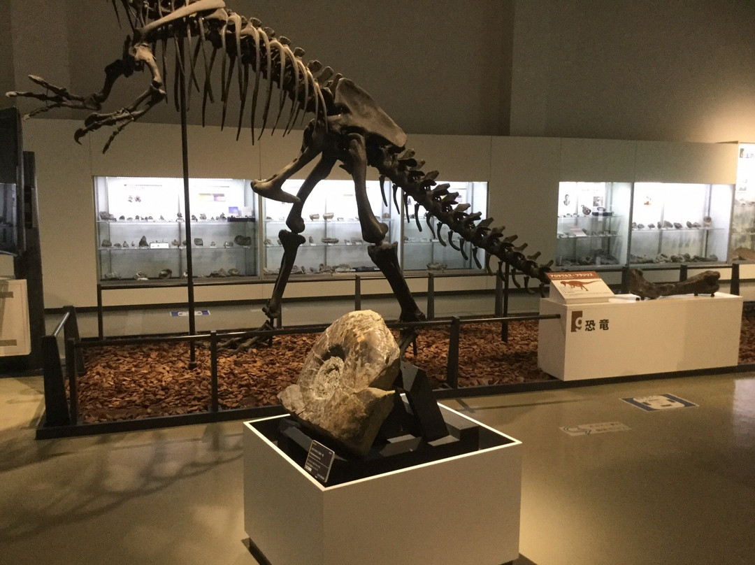 Mikasa City Museum-三笠市必去景点