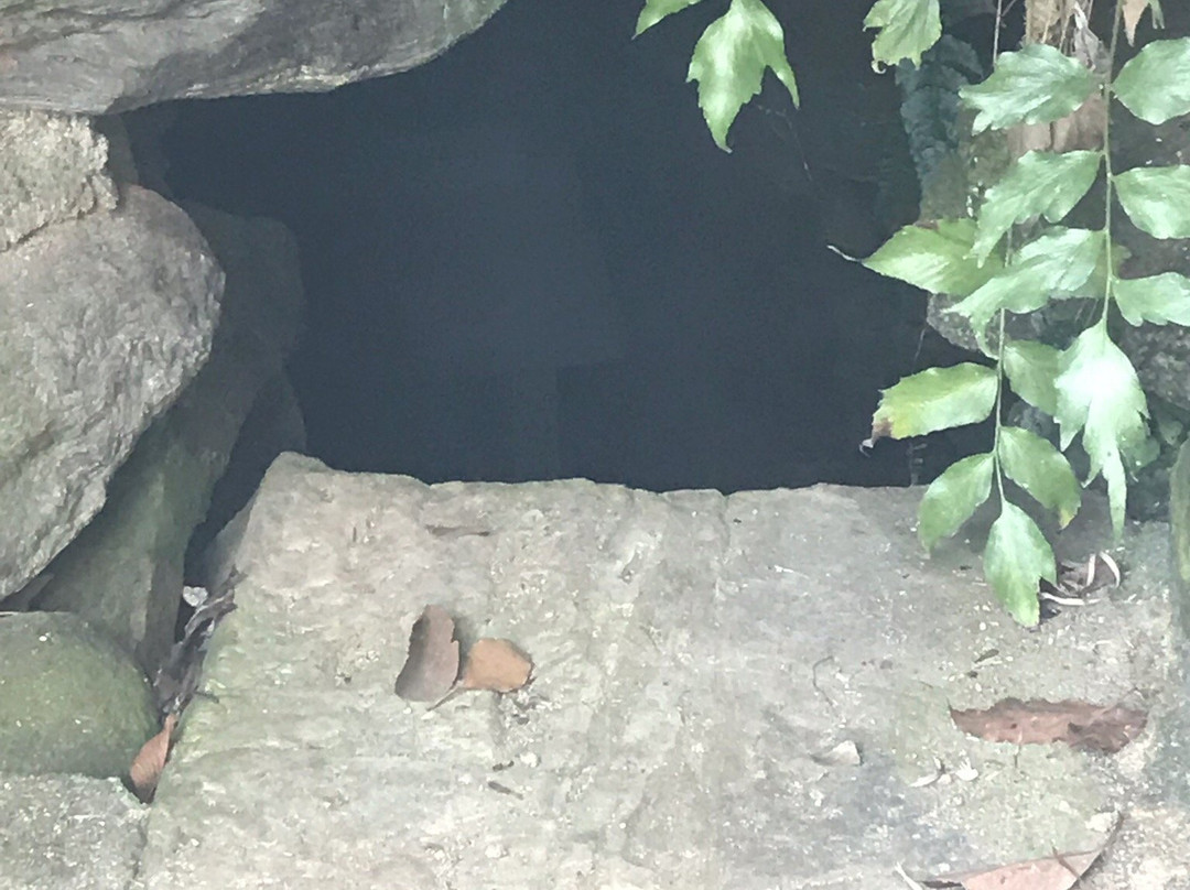 Biwanokuma Tomb-行桥市必去景点