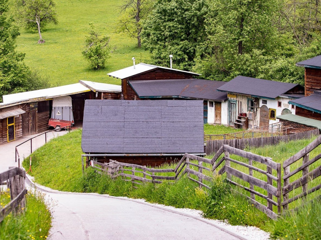 Equestrian Club Djeca Vjetra景点图片