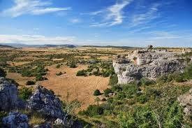 Plateau du Larzac景点图片
