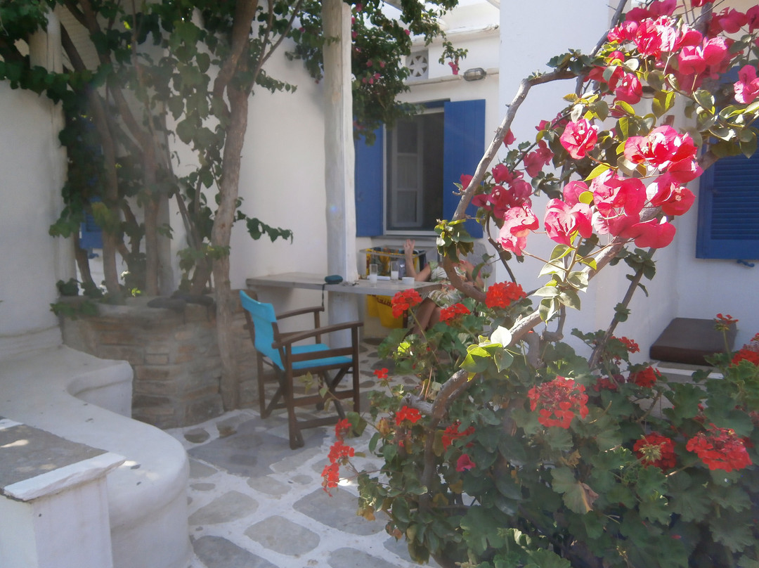 Golden Beach Studios & Suites主图