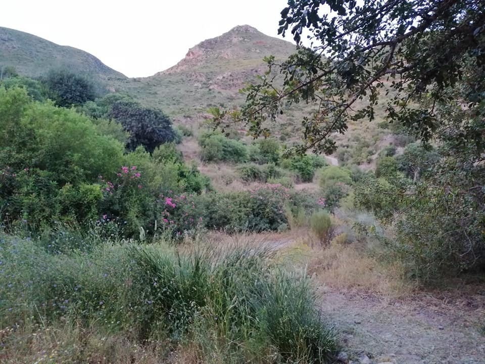 Cortijo El Nacimiento Del Rincon主图