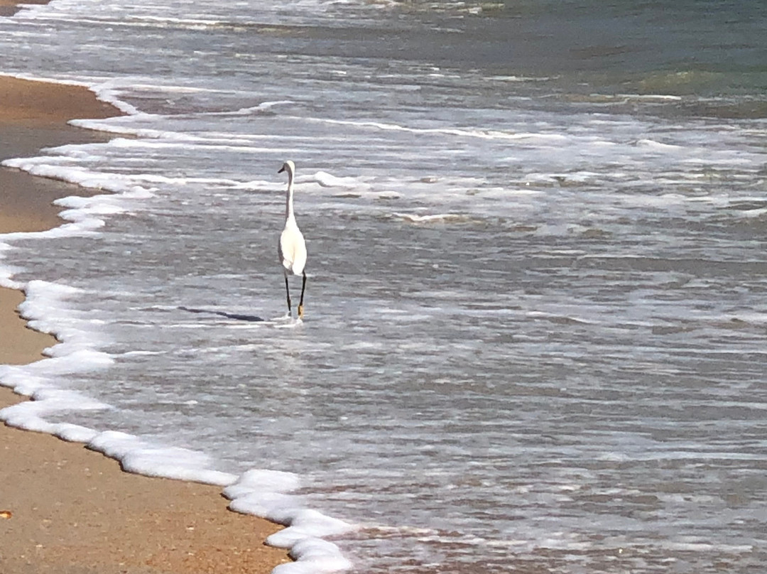 Varn Park-棕榈海岸必去景点