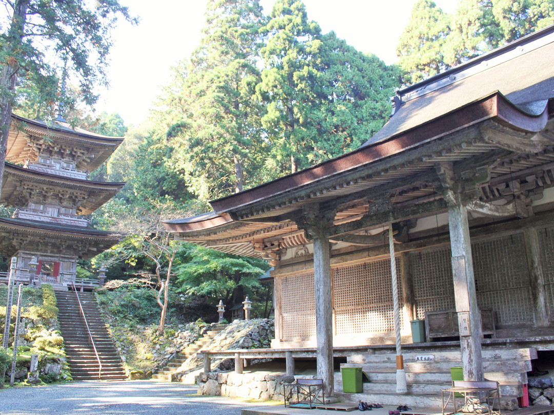 Pagoda at Myotusji Temple景点图片