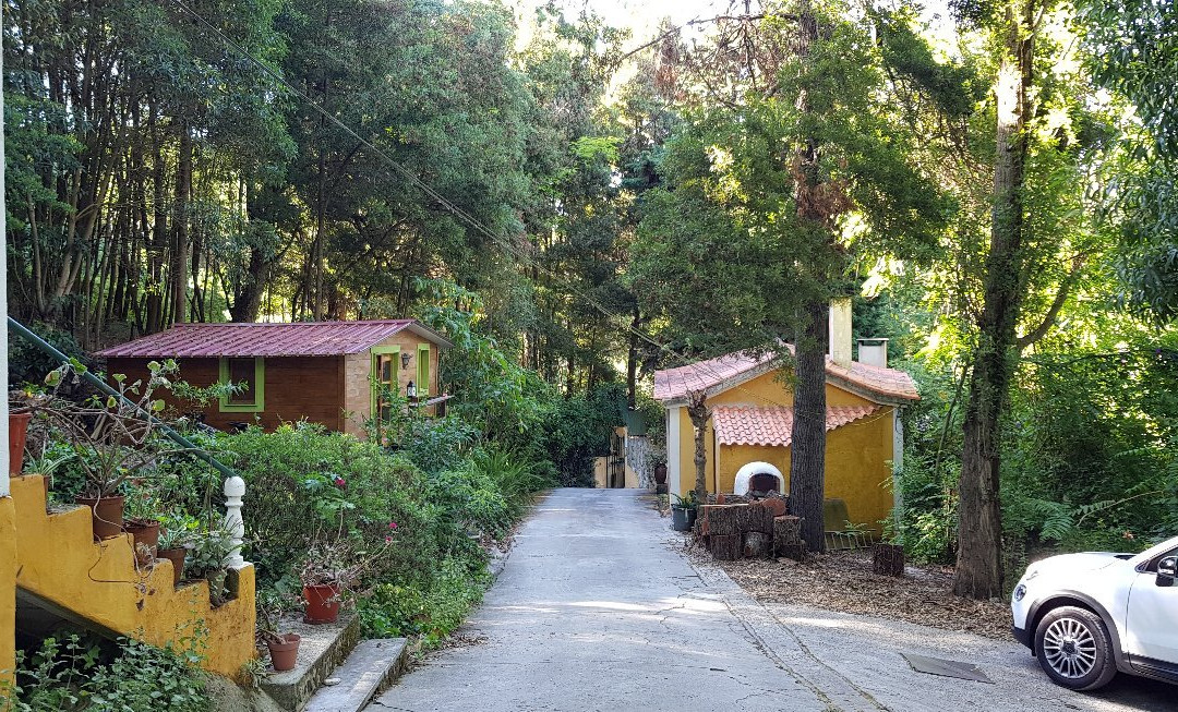 Quinta do Corvo主图