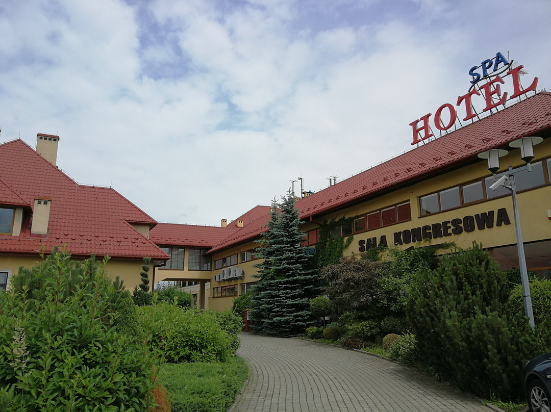 Hotel Wellness & Spa Nowy Dwor主图