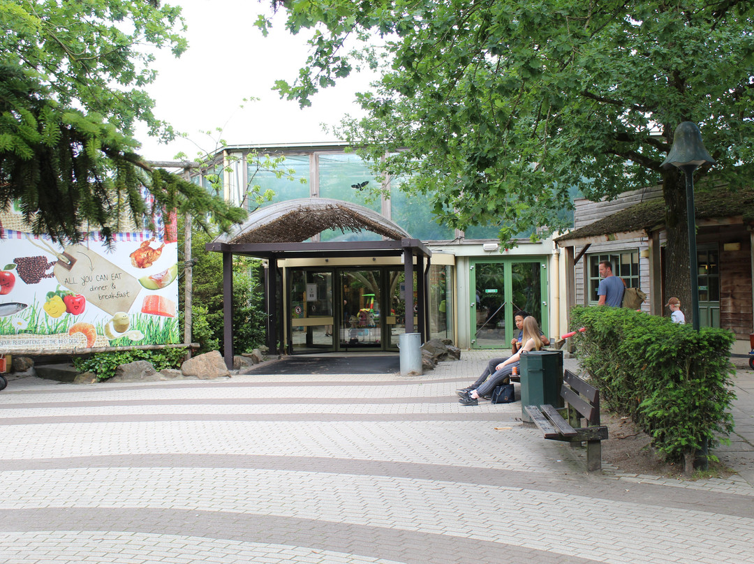 Center Parcs De Kempervennen主图