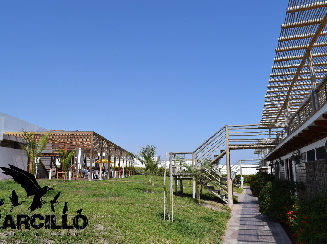 Zarcillo Paradise主图