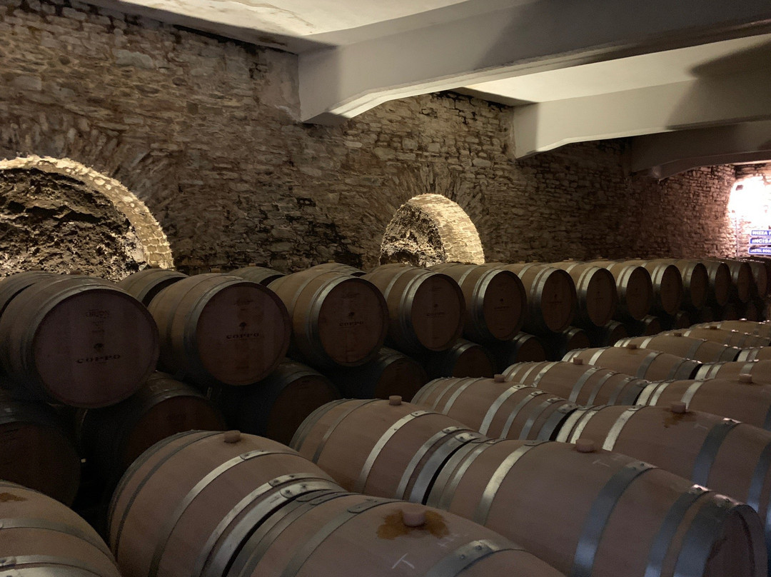 Coppo Wine Cellar景点图片