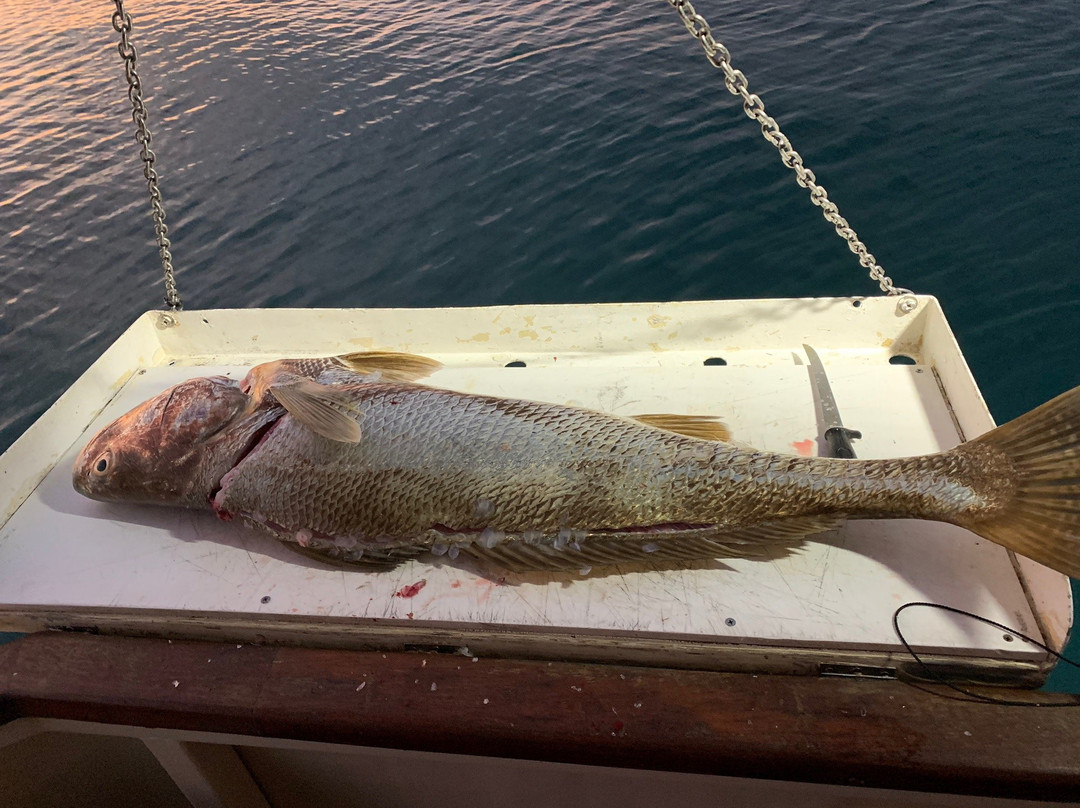 Frontier Fishing-达尔文市必去景点