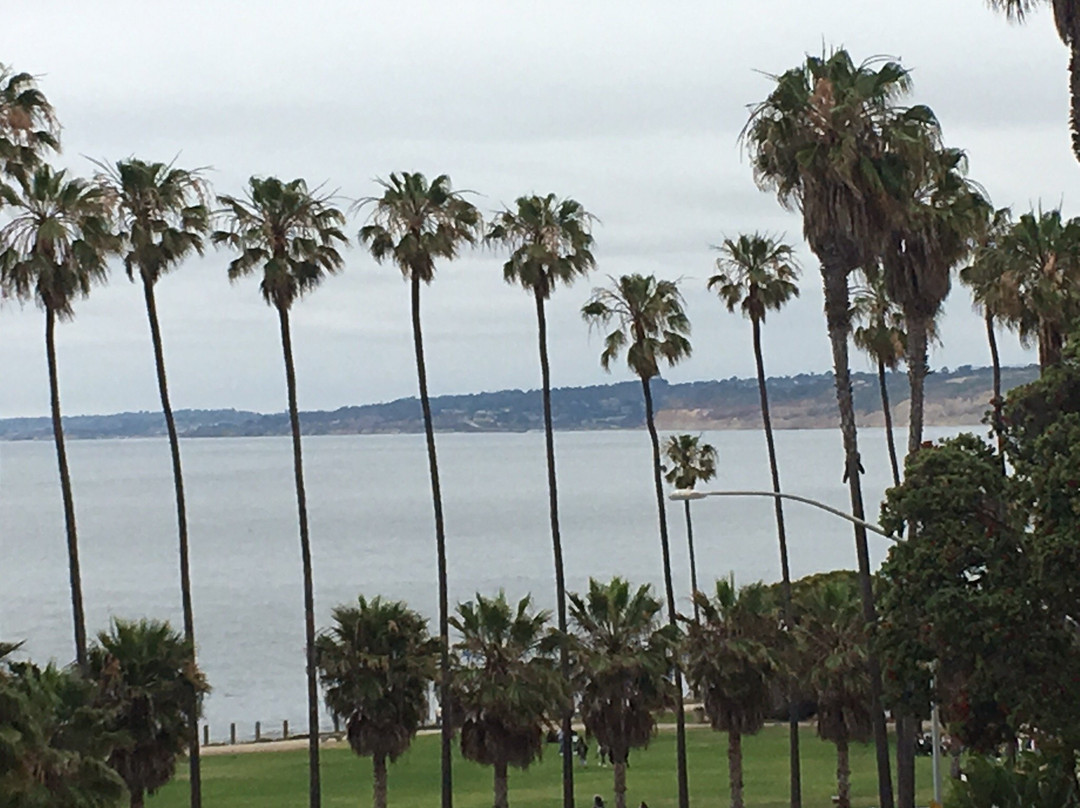 Olive and Basil Restaurant