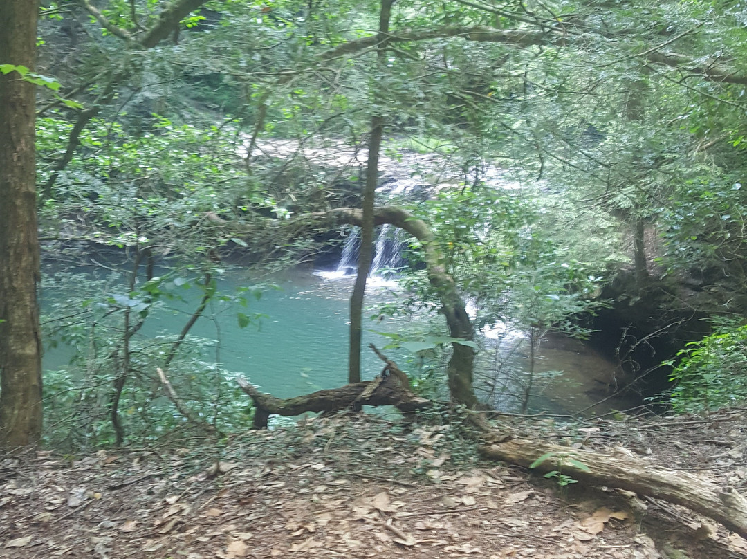Grundy Forest Natural Area景点图片