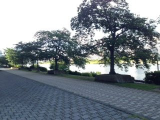 Ishikawajima Park景点图片