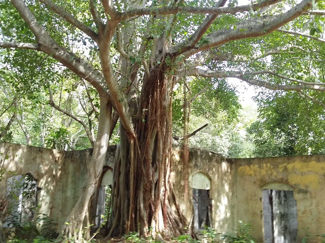 Armero Ghost Town-Armero必去景点