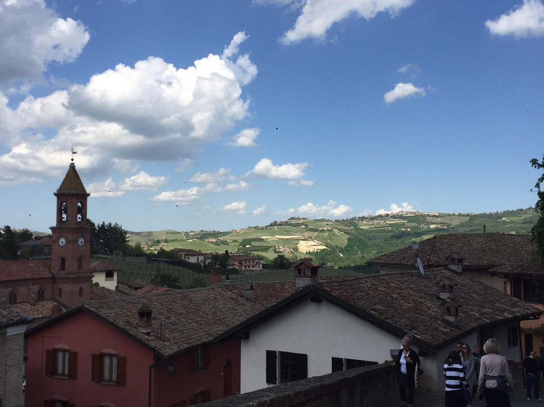 Piedmont Wine Tours e Truffle Hunting-都灵必去景点