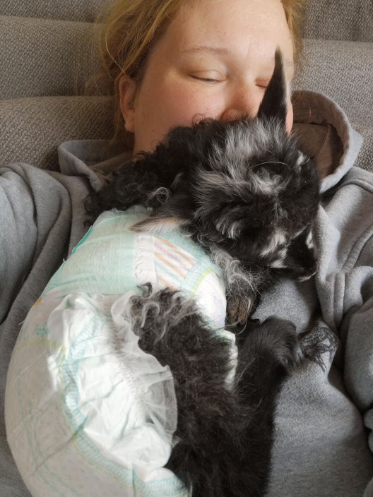 Holar Farm-布扎达吕尔必去景点