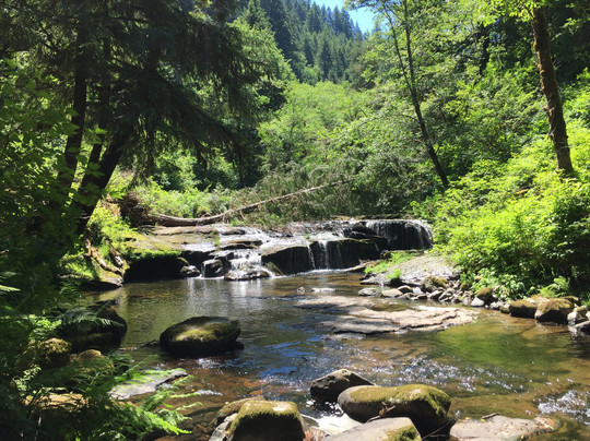 Sweet Creek Falls-Mapleton必去景点