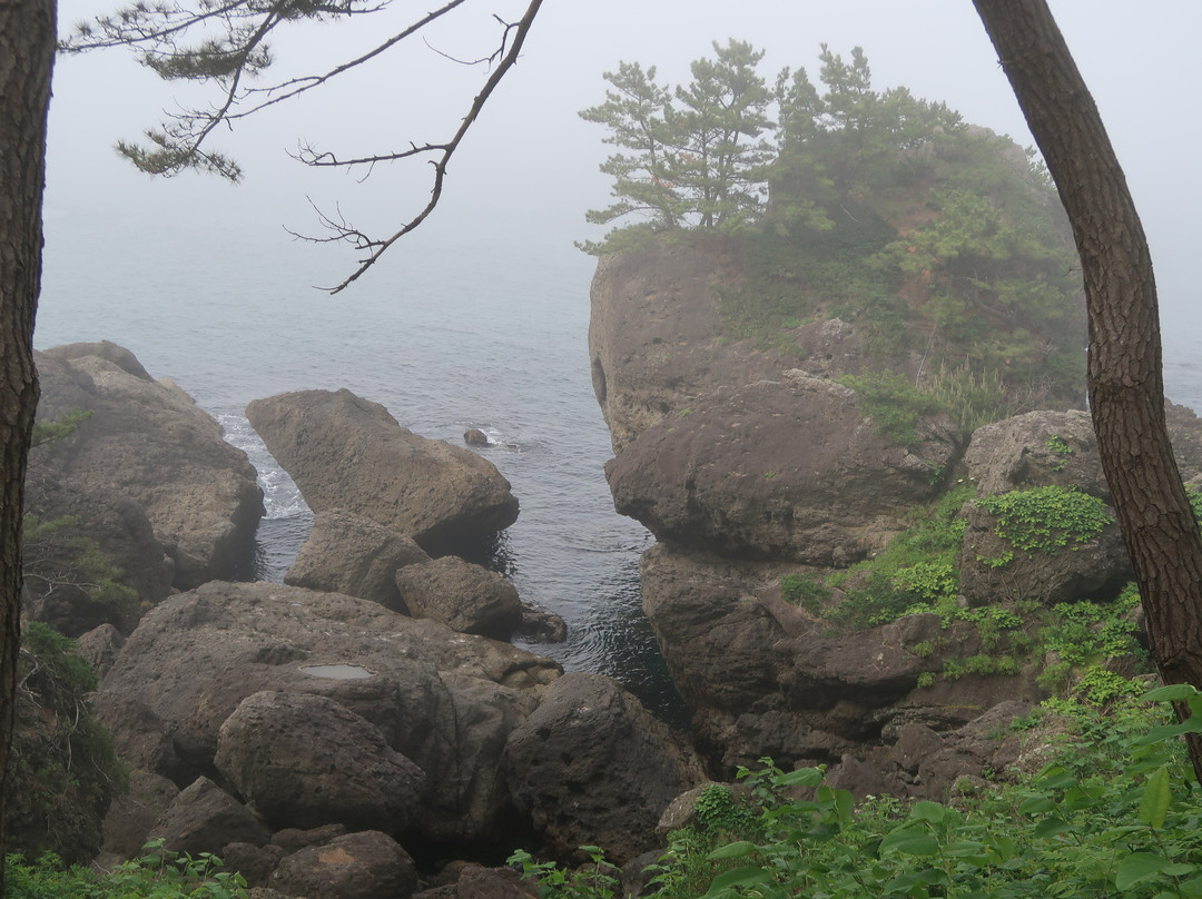 Yodo Pine Grove-八户市必去景点