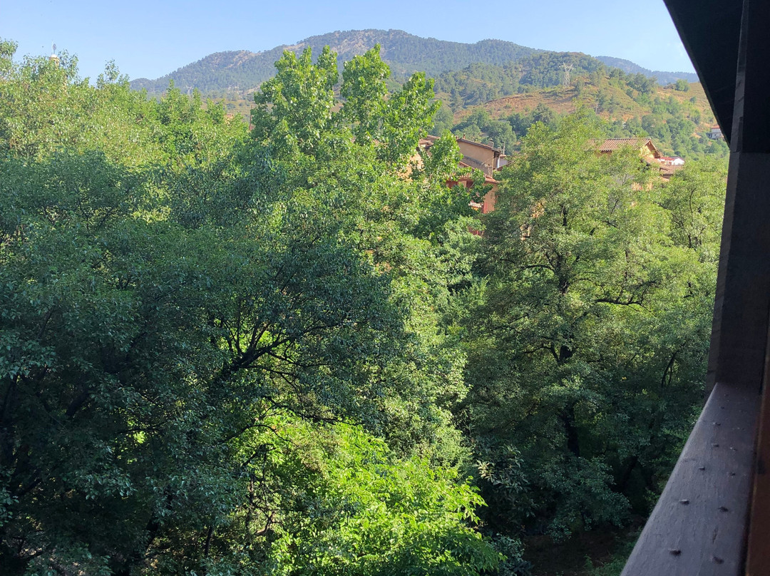 The Mill Hotel主图