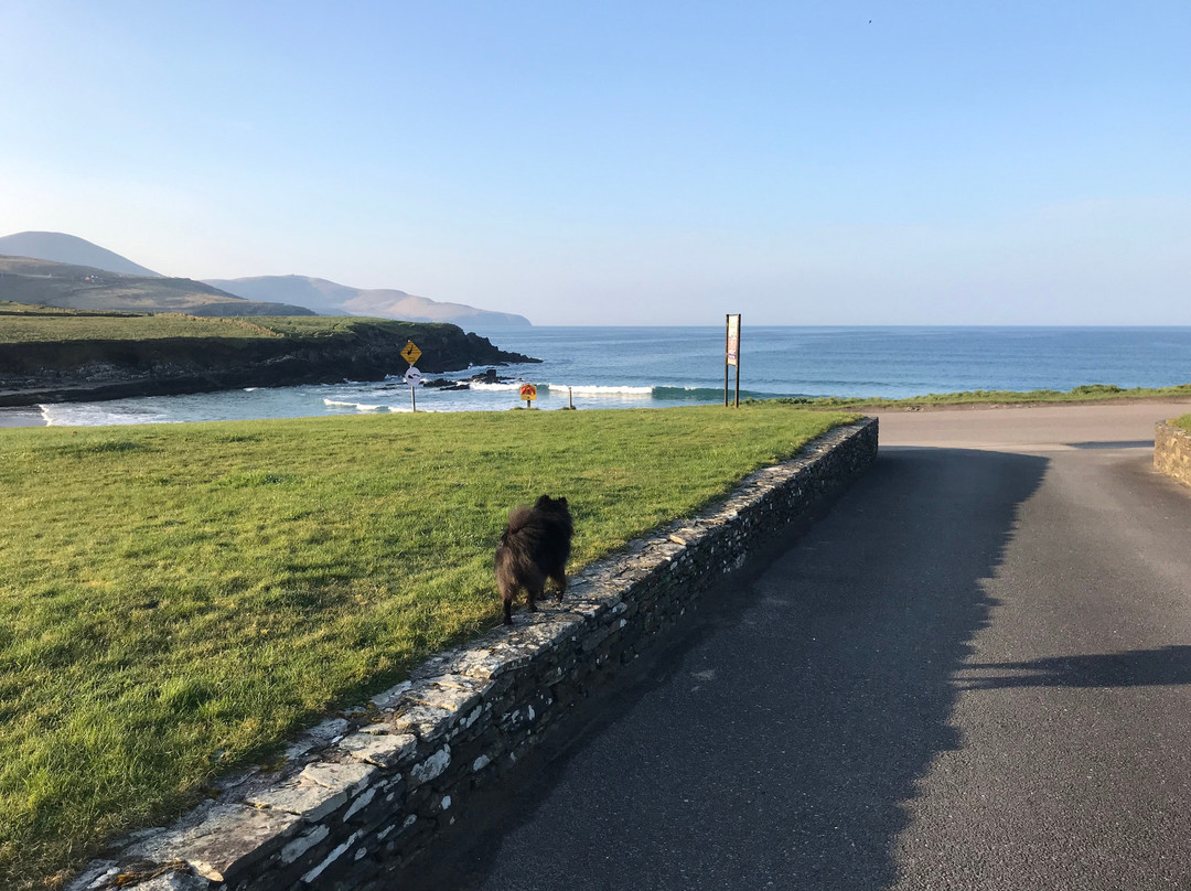 Beach Cove B&B主图