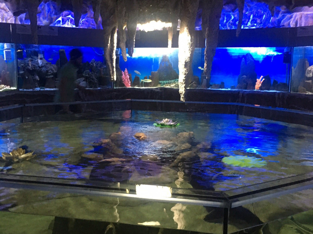 Alushta Aquarium景点图片