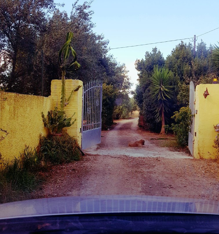 Casa di Campagna Dal Pozzo主图