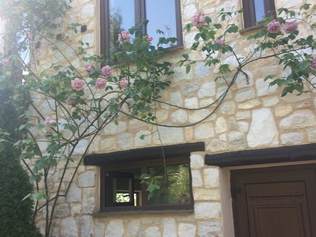 Alseides Boutique Hotel主图