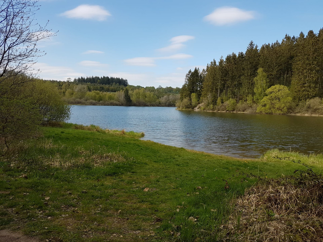 Butgenbacher Lake景点图片
