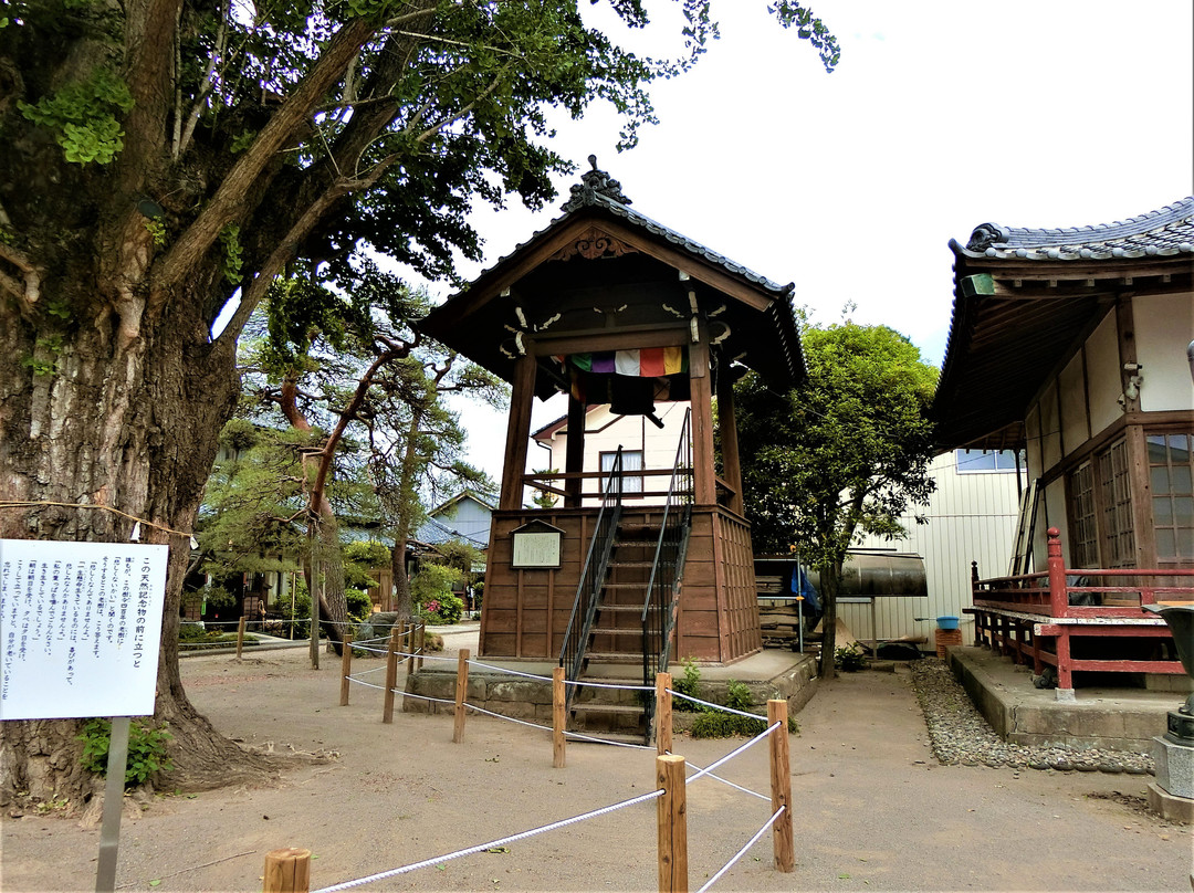 Ryuko-ji Temple景点图片