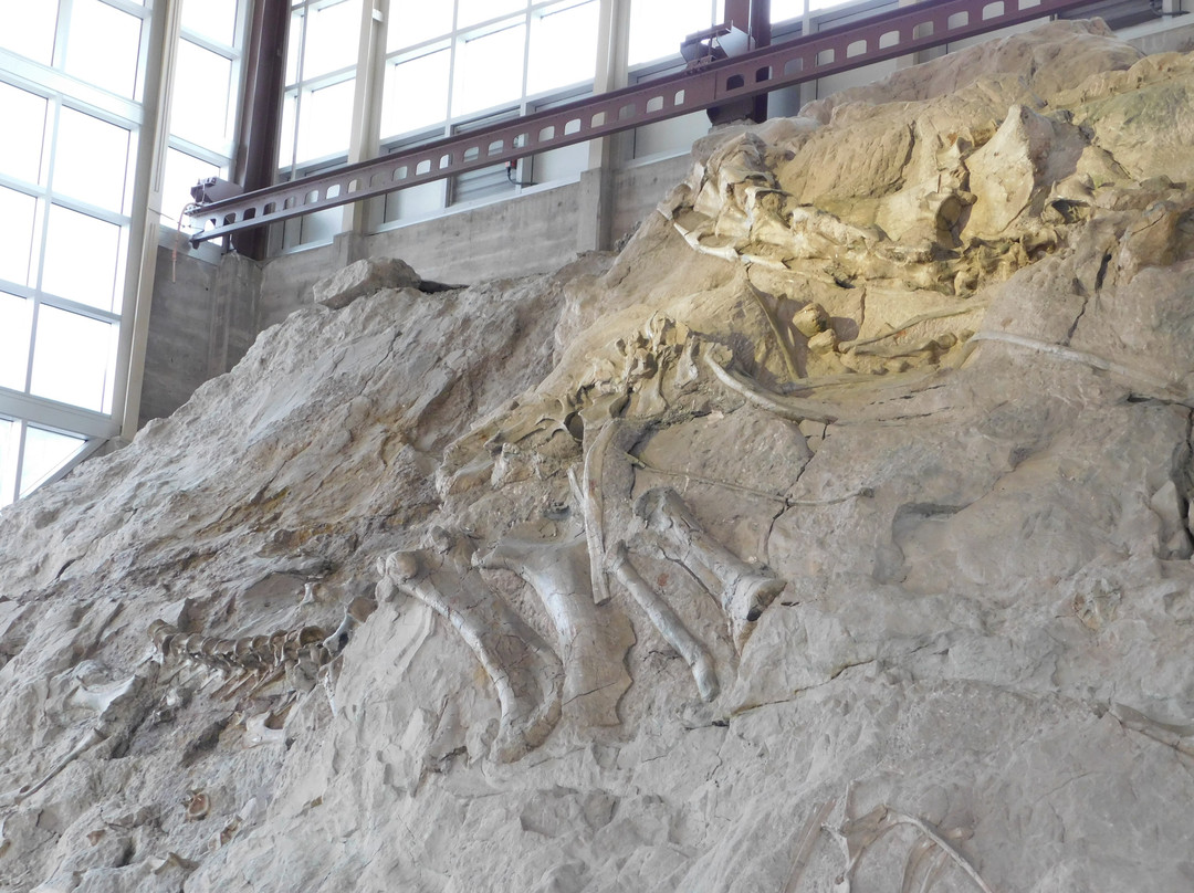 Dinosaur Quarry景点图片