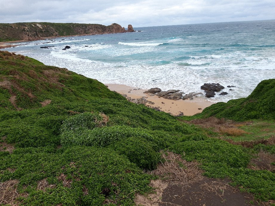 Cape Woolamai Beach景点图片