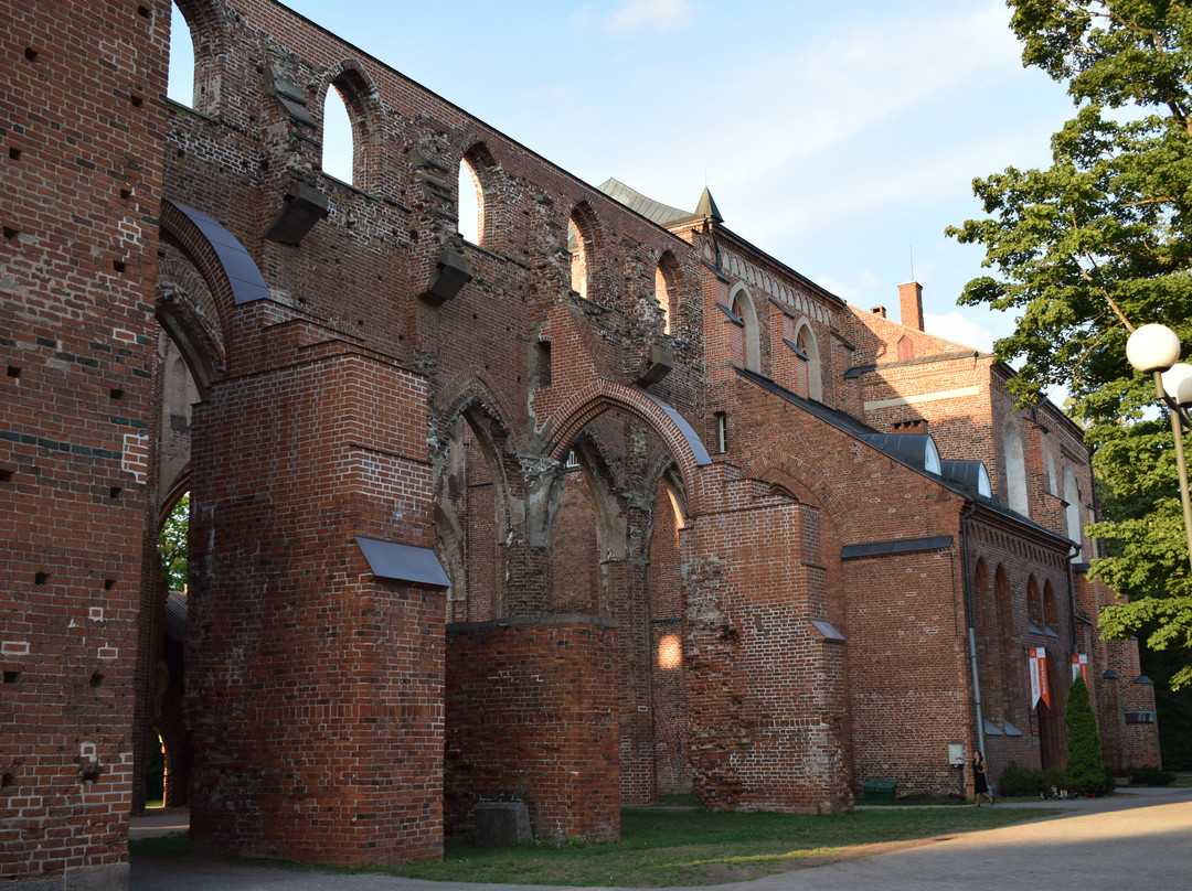 University of Tartu Museum景点图片