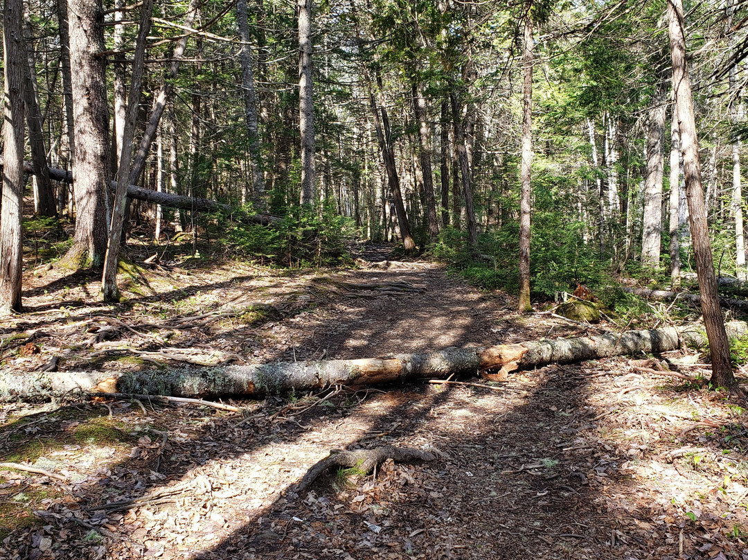 Maliseet Trail-Woodstock必去景点
