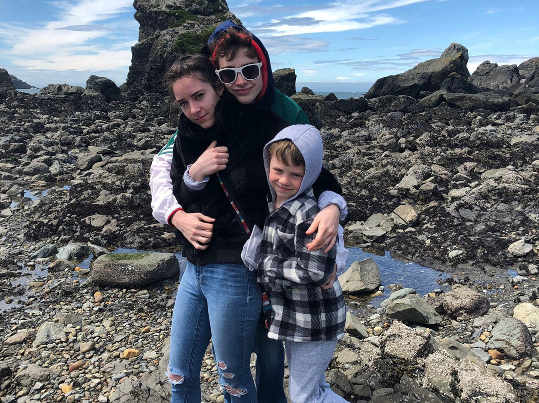 Lone Ranch Beach-布鲁金斯必去景点