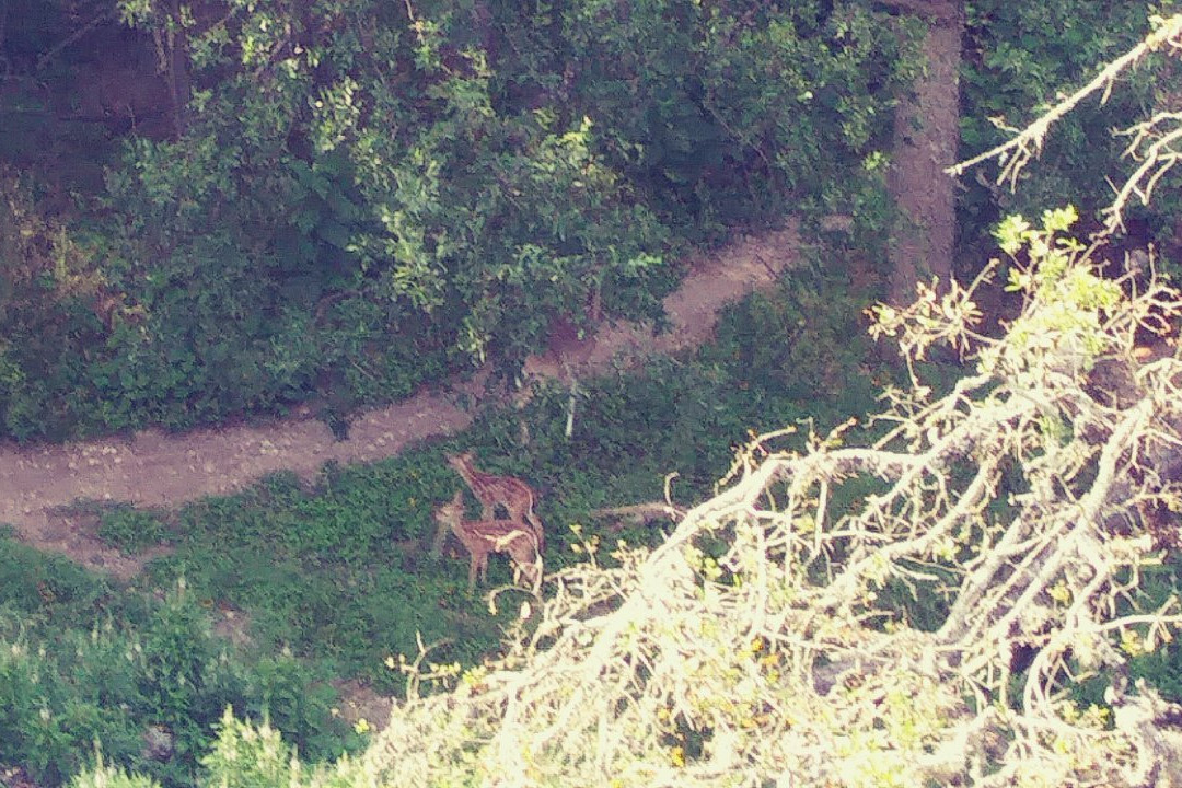 Phil Hardberger Park-圣安东尼奥市必去景点